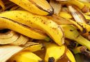 Banano žievės panaudojimo paslaptys! Gamta dalijasi savo turtais