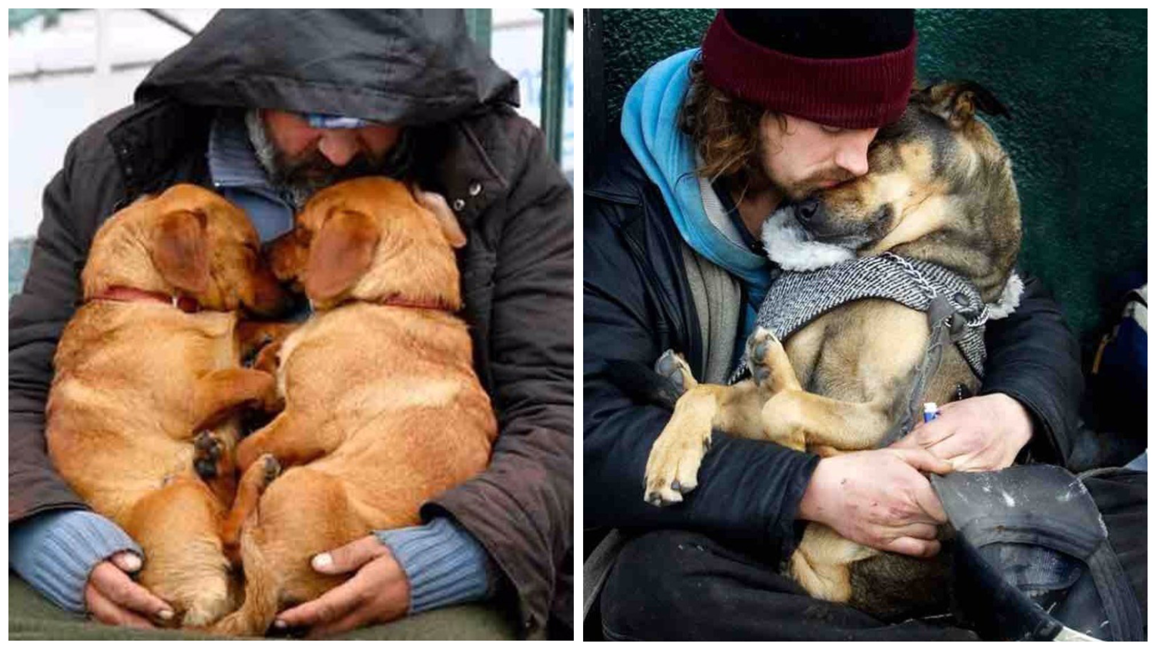 Ann was bitten by a homeless dog. Бездомный щенок. Бездомные животные и человек. Фотосессия с бездомными животными. Пес и хозяин.