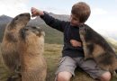 Austrijoje gyvena berniukas, kurį už akių vadina „švilpikų valdovu“