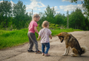 Vaikai pusę metų šėrė benamį šunį. Neseniai jis jiems atsidėkojo