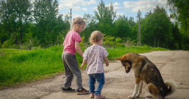 Vaikai pusę metų šėrė benamį šunį. Neseniai jis jiems atsidėkojo