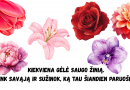 Pasirink gėlę — ir sužinok, ką tau paruošė šiandienos diena