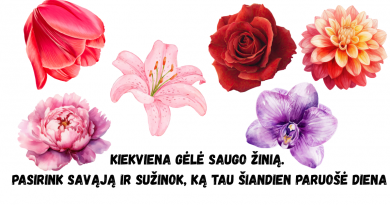 Pasirink gėlę — ir sužinok, ką tau paruošė šiandienos diena