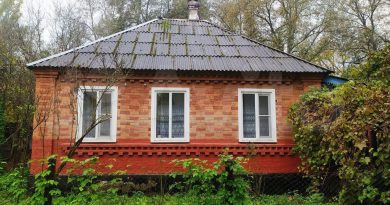 Aš paveldėjau namą iš tolimos giminaitės. Tačiau atvykusi ten, pamačiau, kad ten jau kas nors gyvena…