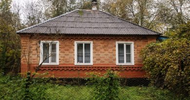 Aš paveldėjau namą iš tolimos giminaitės. Tačiau atvykusi ten, pamačiau, kad ten jau kas nors gyvena…