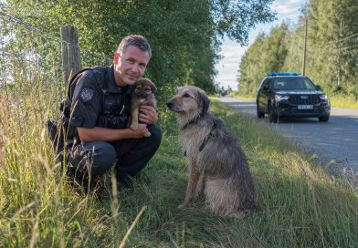 Šuniukas pribėgo prie policininkų pagalbos. Tai, kas nutiko toliau, sunku pamiršti…