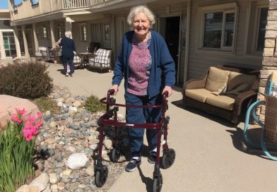 Kaimynė pavertė mano puoselėjamą sodą šiukšlynu ir buvo įsitikinusi, kad jai tai atsipirks, bet nusprendžiau ją pamokyti ir įteikiau dovaną, kurios ji niekada nepamirš…