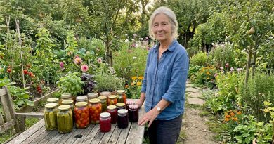 „30 metų kiekvieną vasarą praleisdavau sode — daržas, konservai… Vyras ir vaikai atvažiuodavo savaitgaliais, kepdavo šašlykus, ilsėdavosi ir išvažiuodavo. Praeitą vasarą birželį užrakinau sodą ir pirmą kartą gyvenime išskridau prie jūros viena. Vyras nesuprato. Vaikai pasmerkė. O aš grįžau ir pirmą kartą per trisdešimt metų pajutau — ši vasara buvo mano.”