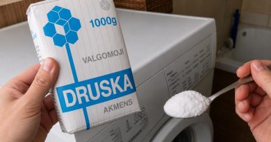 Pakanka vieno valgomojo šaukšto: kodėl kai kurios šeimininkės skalbdamos naudoja druską