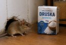 Atsikratome žiurkių ir pelių be chemikalų: paprastas būdas, kurį verta išbandyti